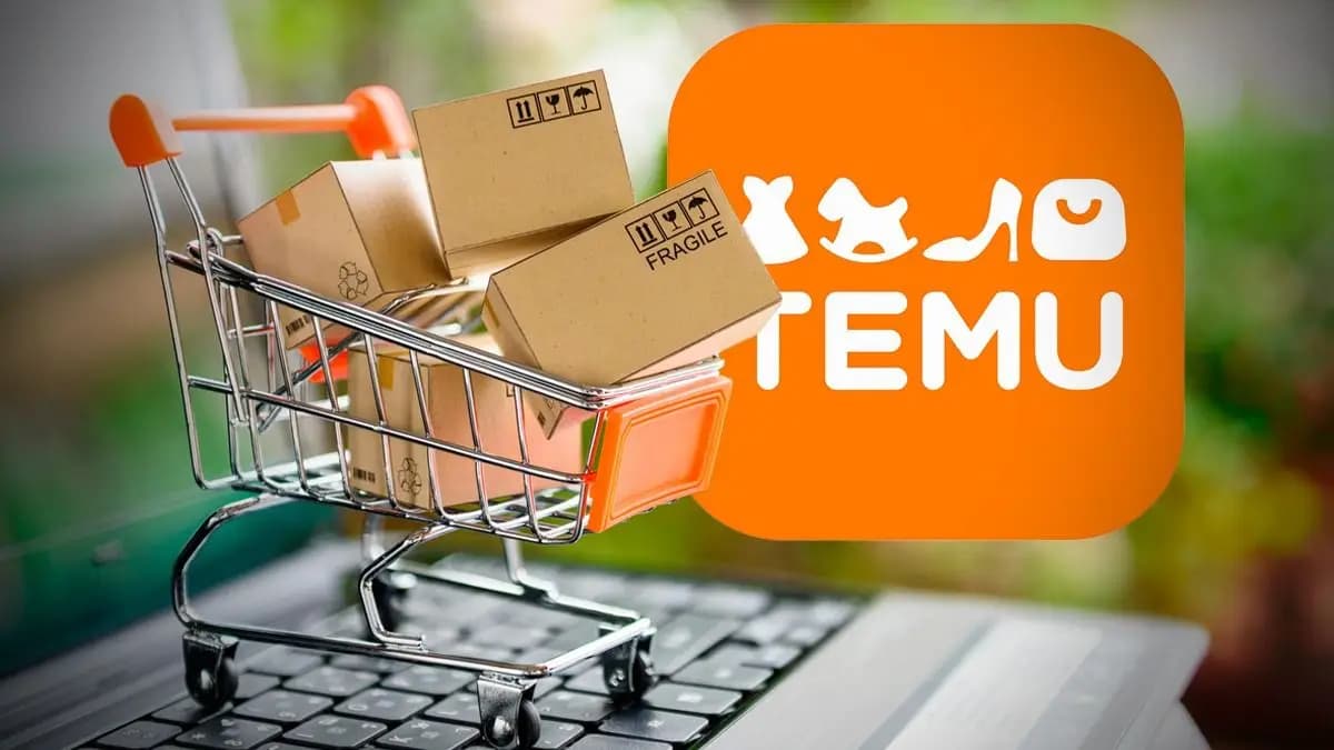 Consejos para aprovechar mejor los envíos de Temu